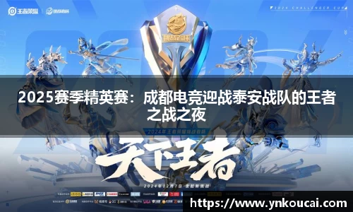 2025赛季精英赛：成都电竞迎战泰安战队的王者之战之夜